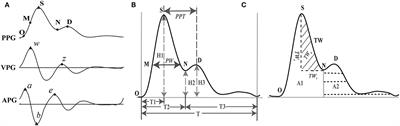 The Assessment of Autonomic Nervous System Activity Based on Photoplethysmography in Healthy Young Men